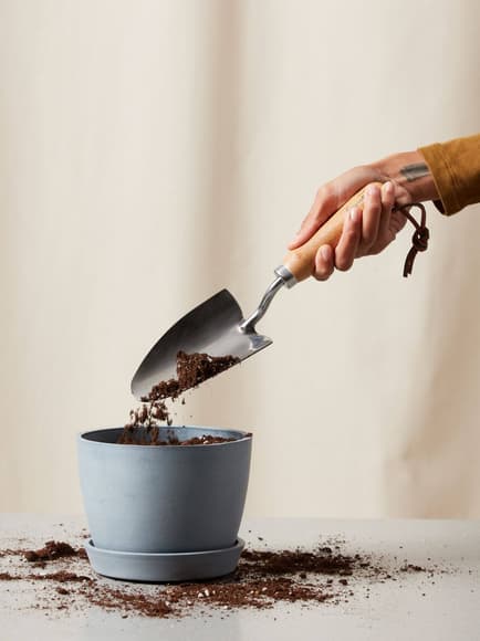 Woman holding Bloomscape Hand Trowel tool adding soil to a Small Ecopots Round Pot in Slate