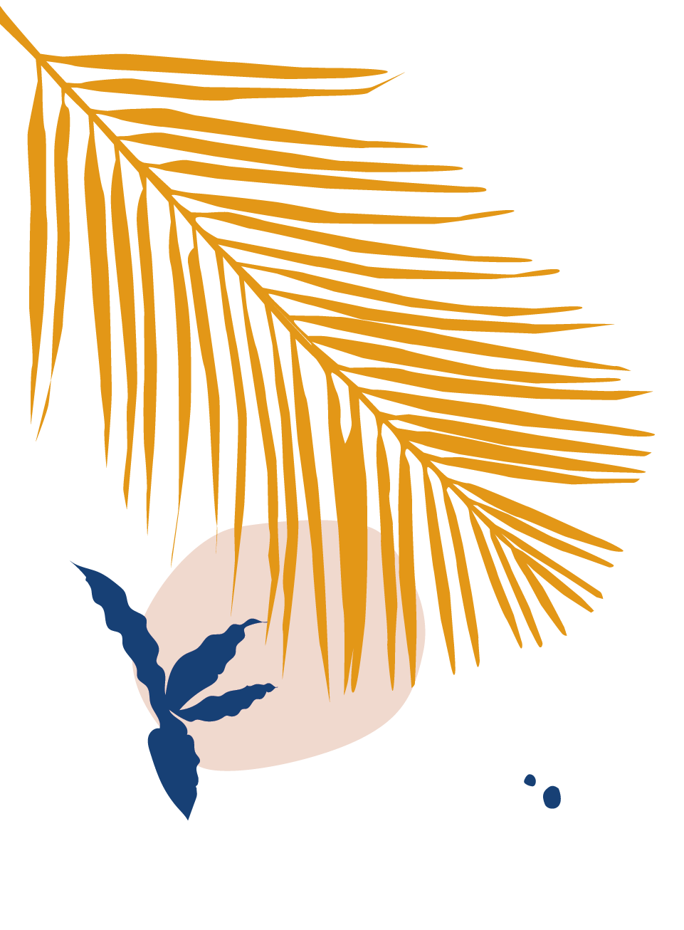 Bird of Paradise Bird of Paradise