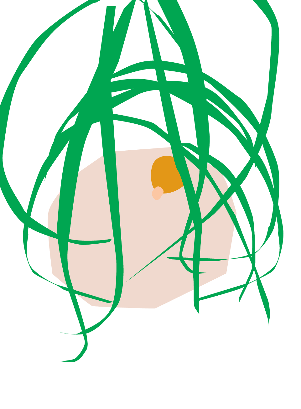 bloomscape ponytail palm