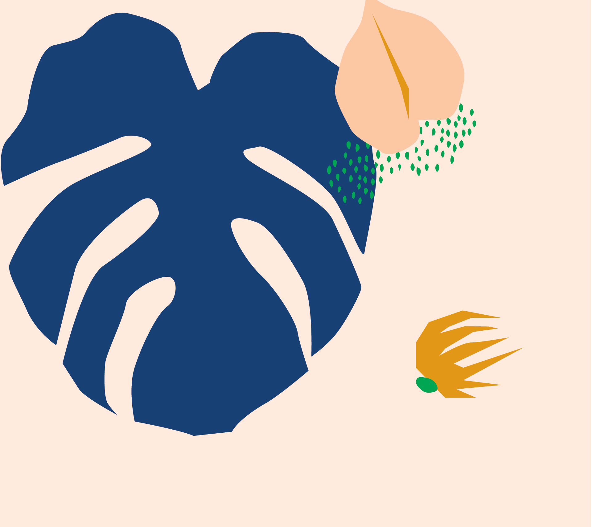 bloomscape how to care for a monstera plant