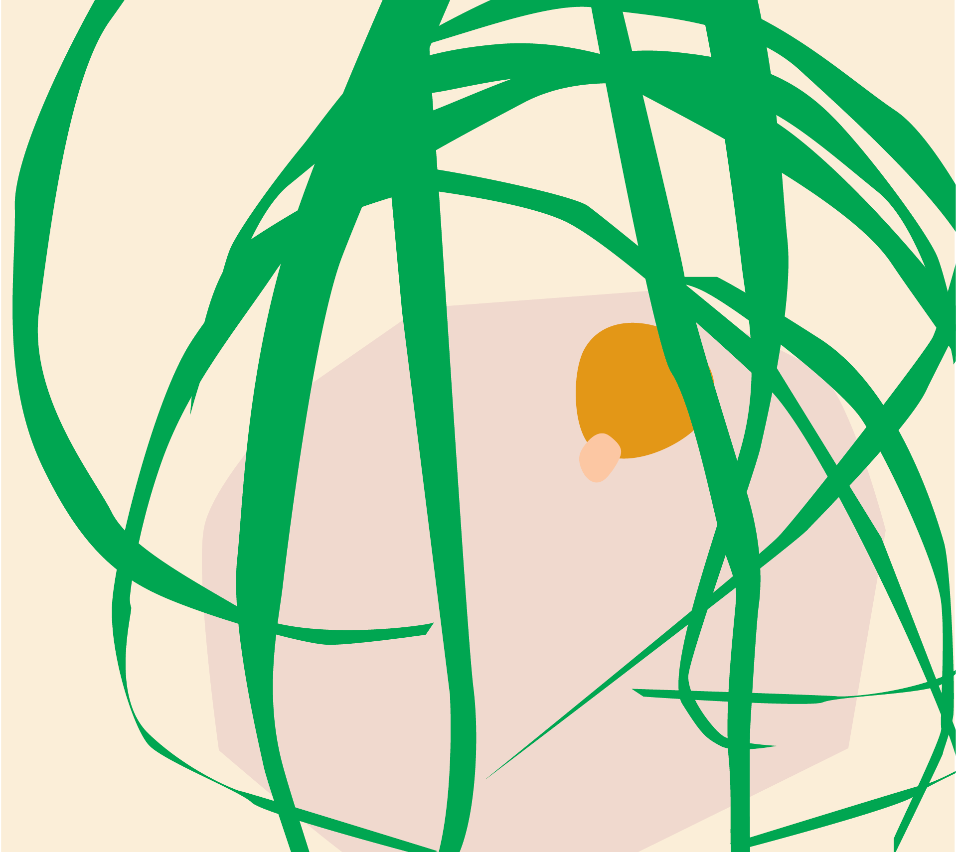 How to Care for a Ponytail Palm How to Care for a Ponytail Palm