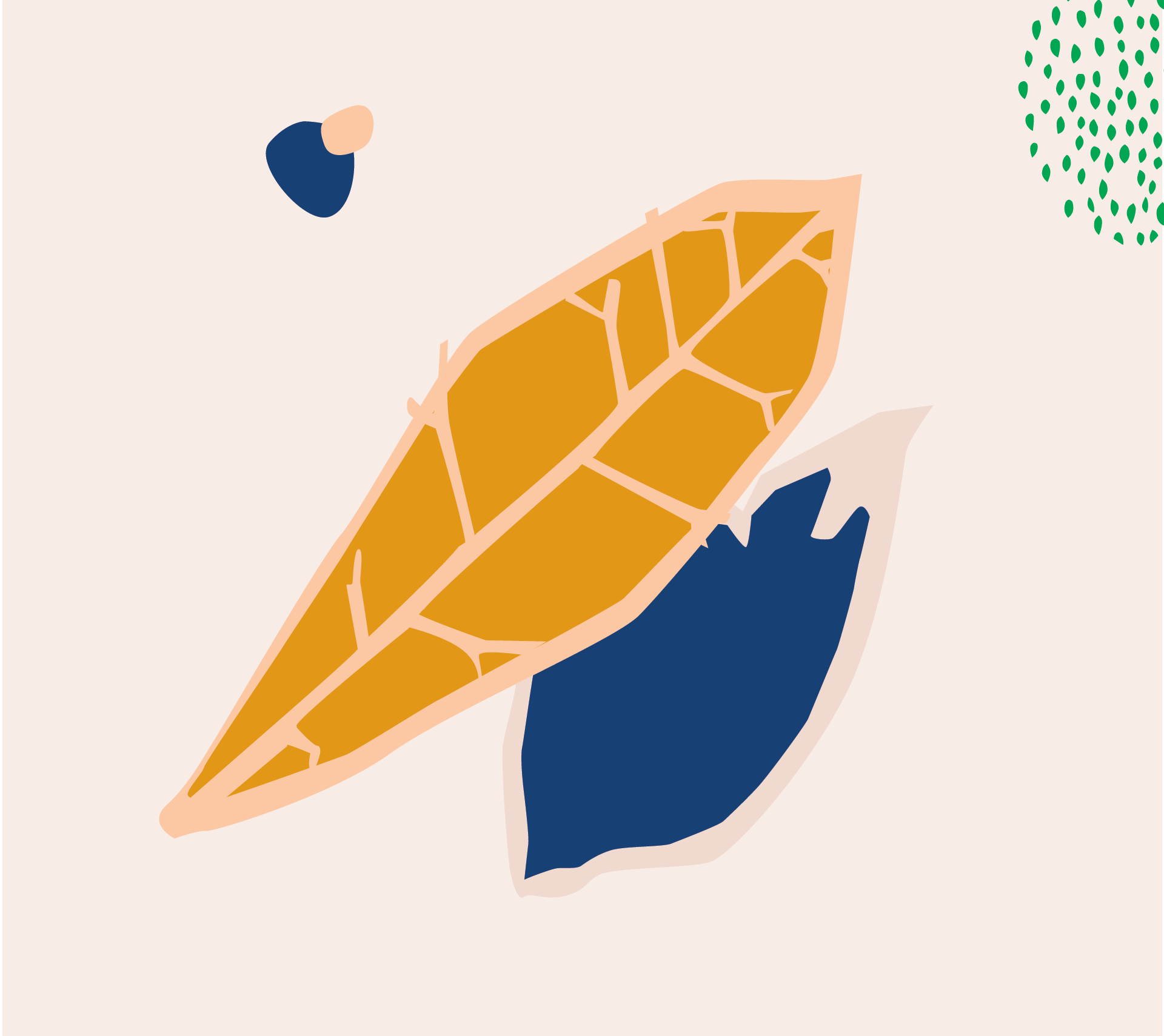 How to Care for a Croton Petra How to Care for a Croton Petra