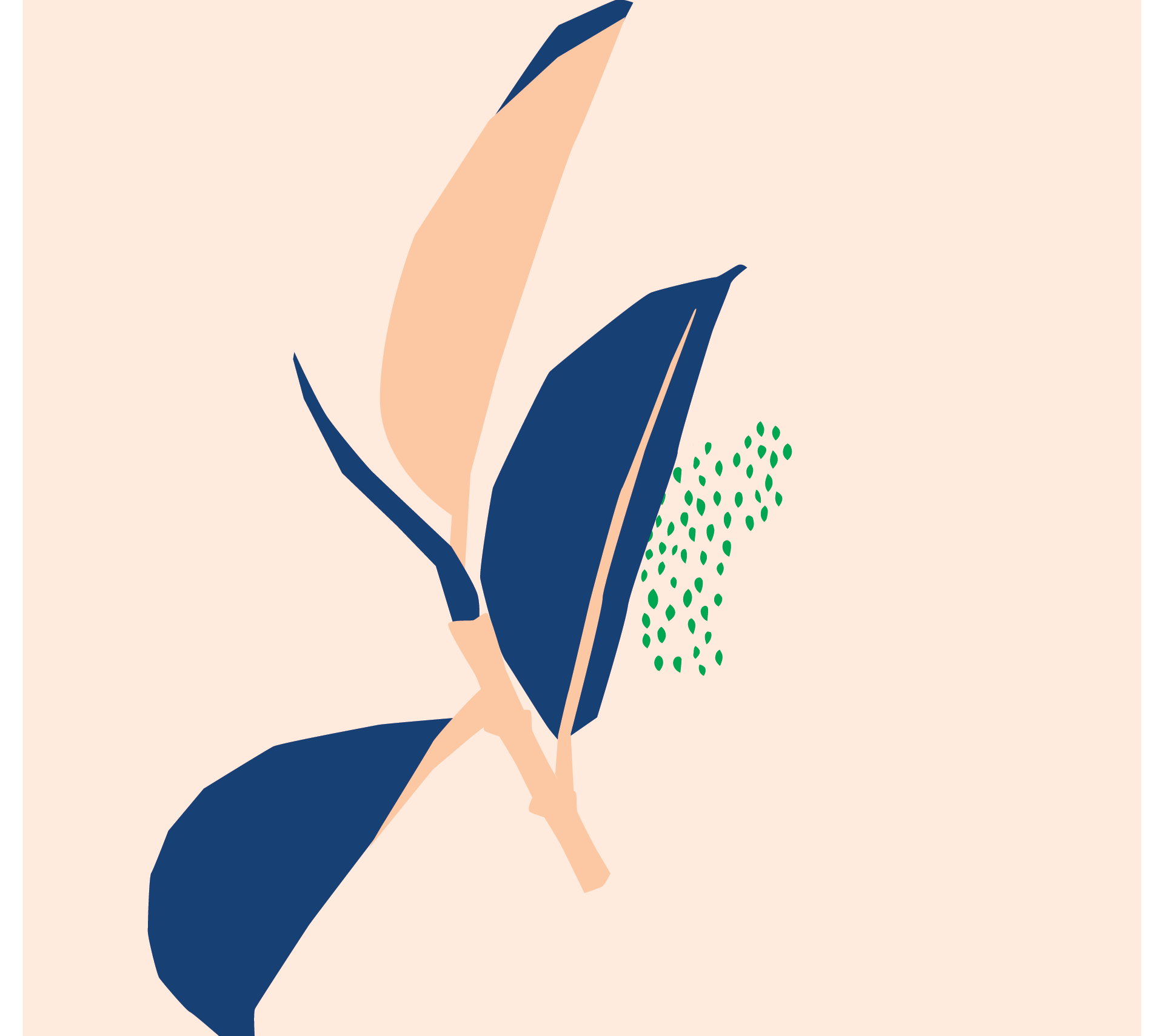 How to Care for a Rubber Tree How to Care for a Rubber Tree
