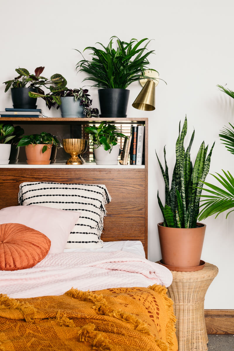 Перетворіть свою спальню за допомогою рослин