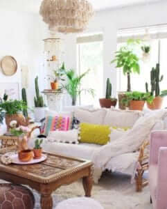 Plant Life Series: Airy Bohemian Desert Home | Bloomscape