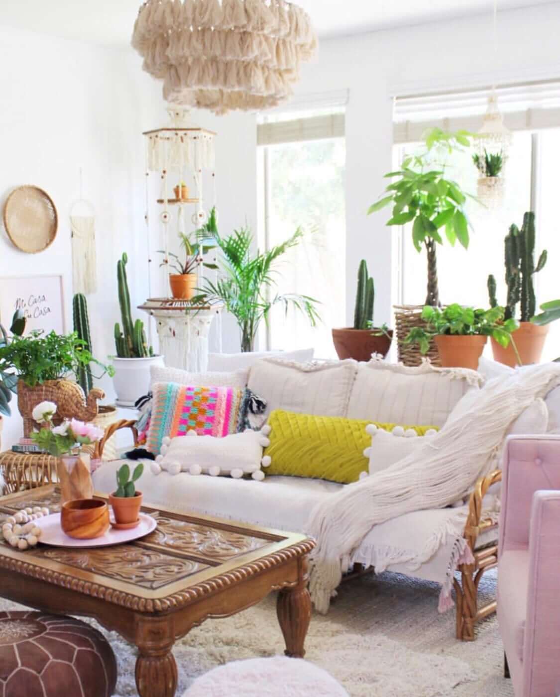 Plant Life Series: Airy Bohemian Desert Home | Bloomscape