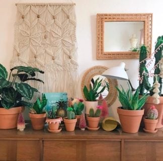 Plant Life Series: Airy Bohemian Desert Home | Bloomscape