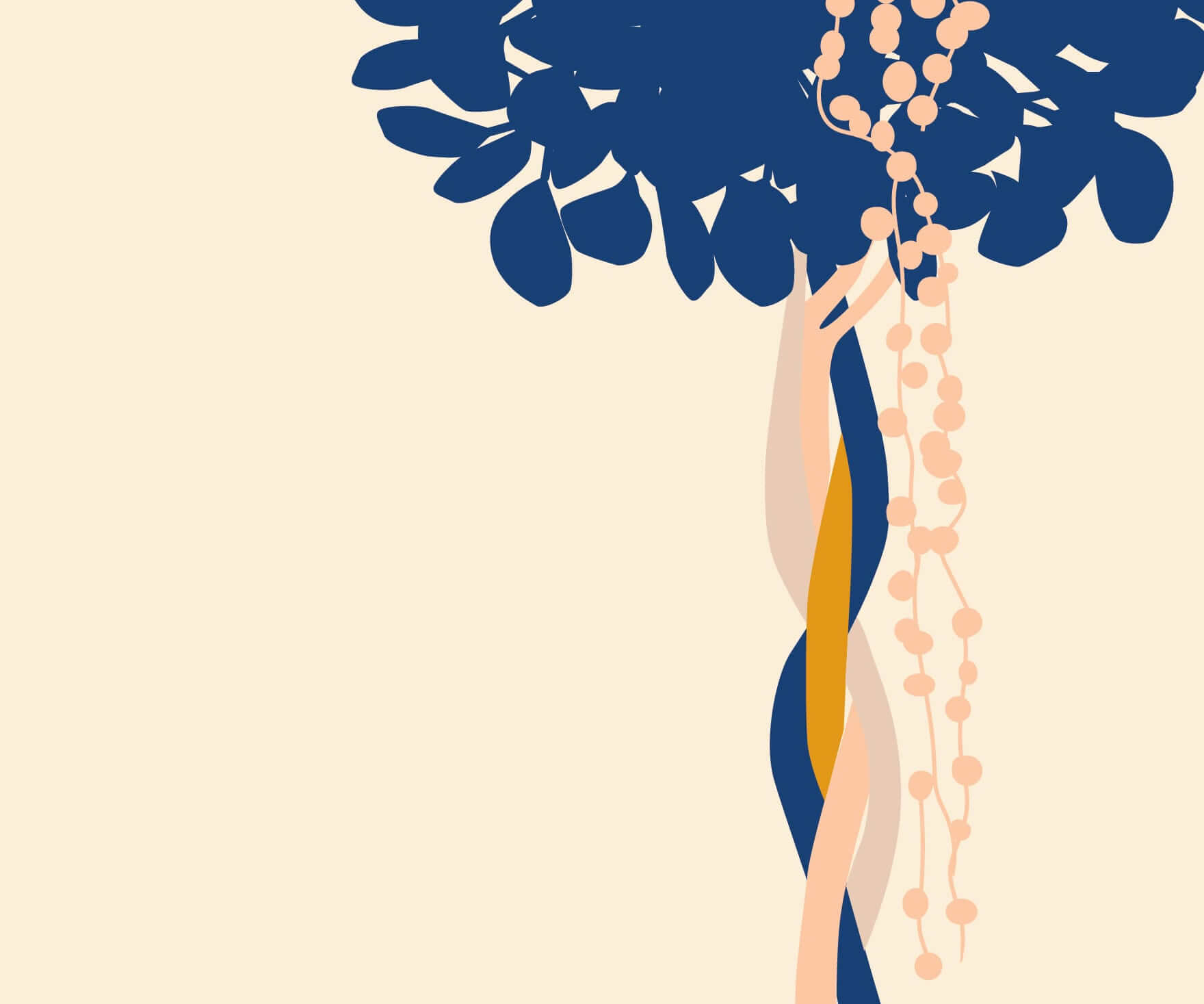 How to Care for a Ficus Danielle