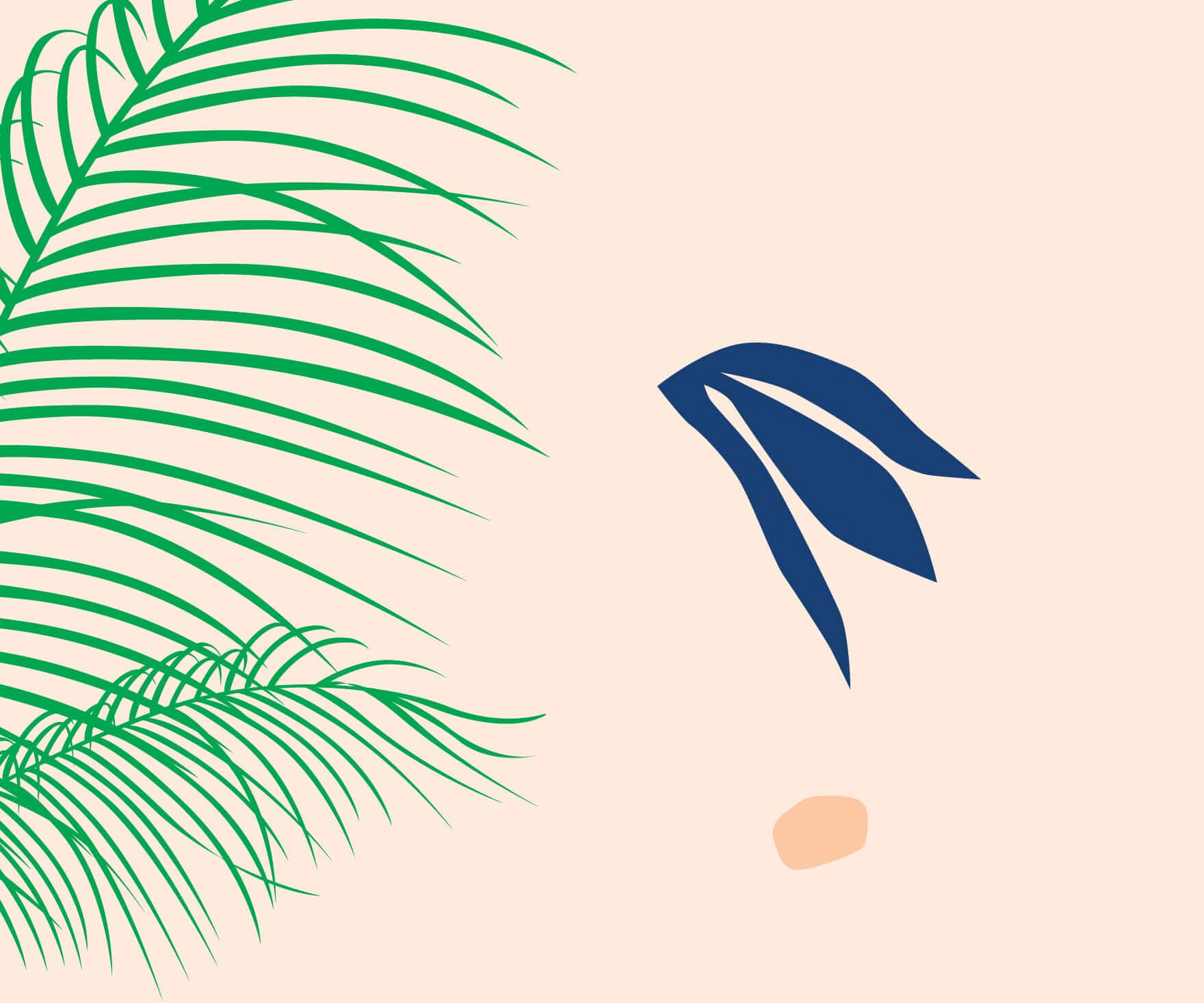 How to Care for a Parlor Palm Bloomscape