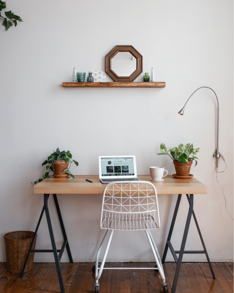 advice from plant mom: the benefits of having plants in offices