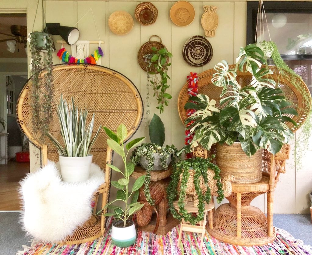 Plant Life Series: A Modern Bohemian Plant Paradise in Chicago