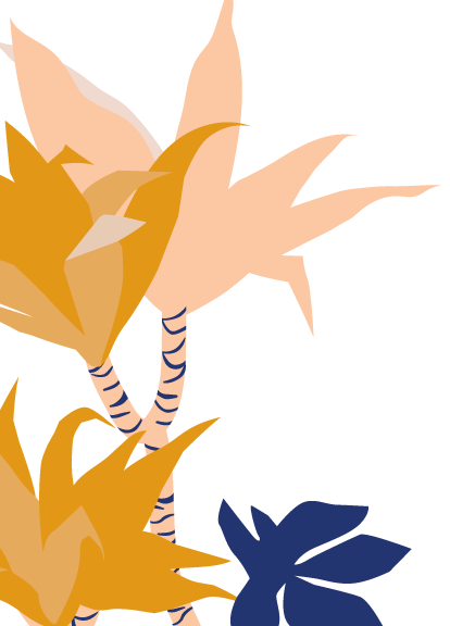 Dracaena Janet Craig Bloomscape Dracaena Janet Craig