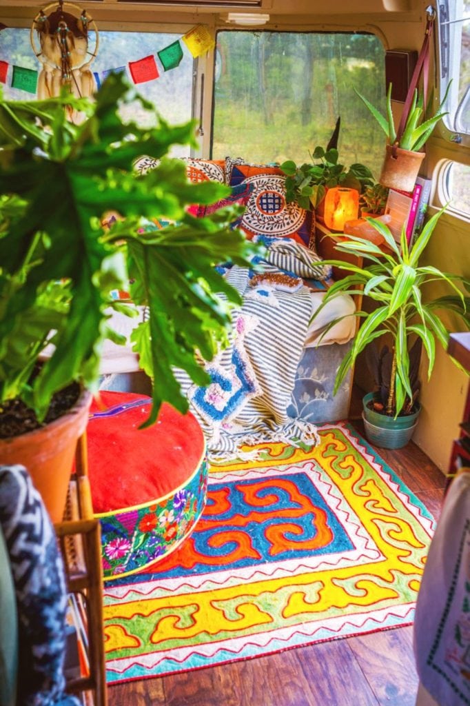 Plant Life Series: A Colorful Southwestern Maximalist Home