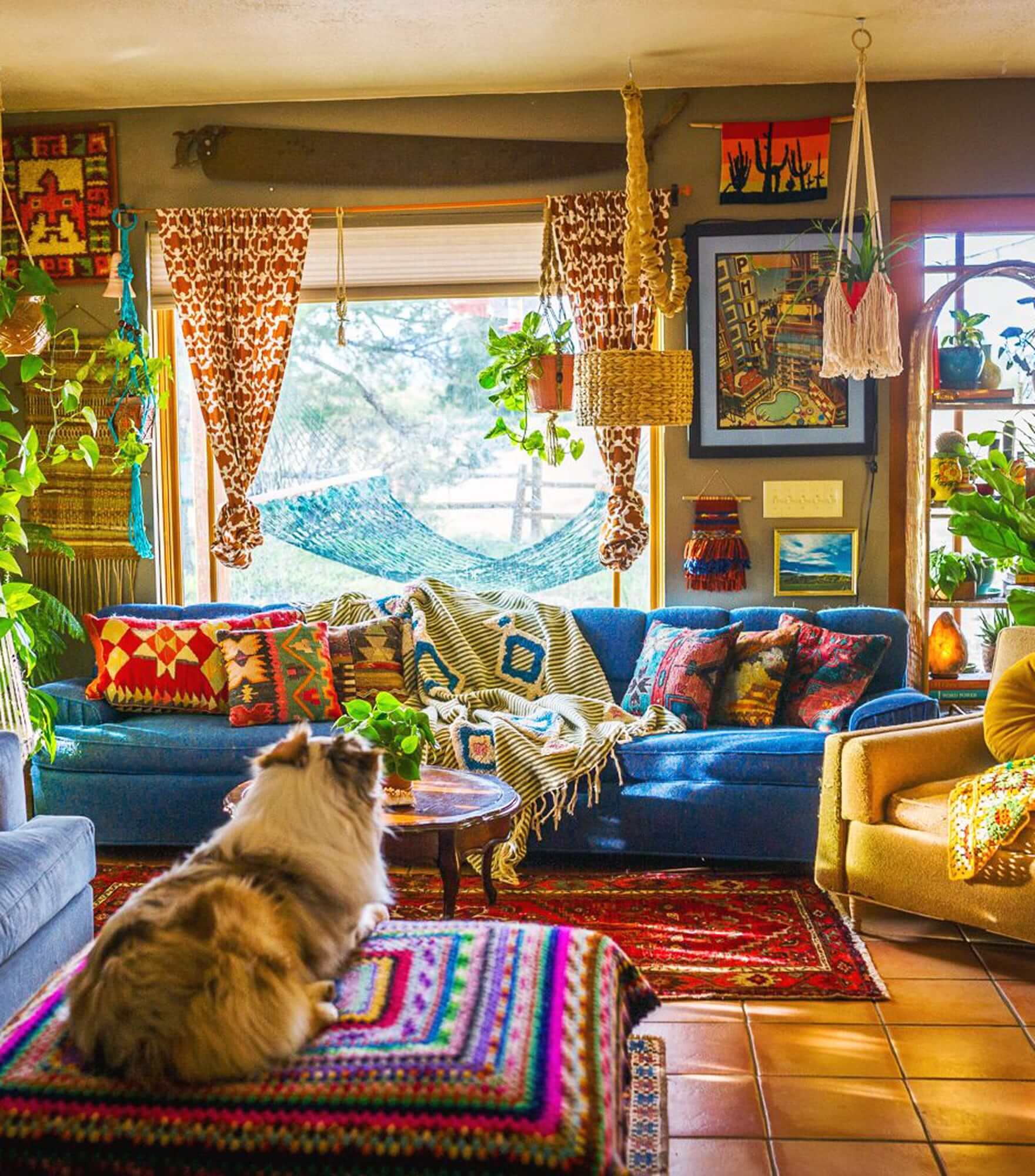 Plant Life Series: A Colorful Southwestern Home | Bloomscape
