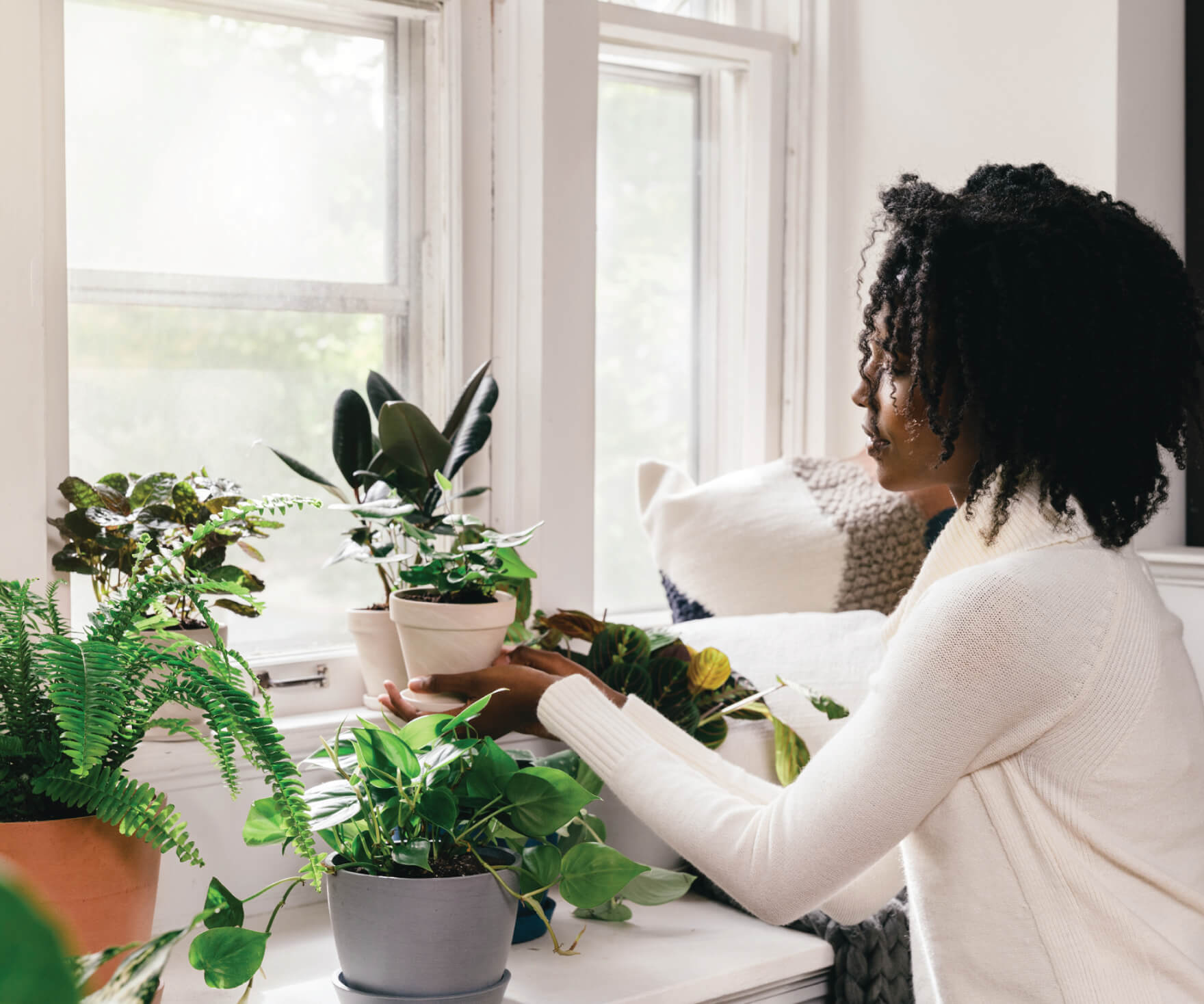 Bloomscape | Winter Plant Care