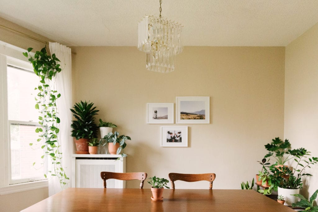Plant Life Series: A Minimalist, Mid-Century Modern Detroit Home