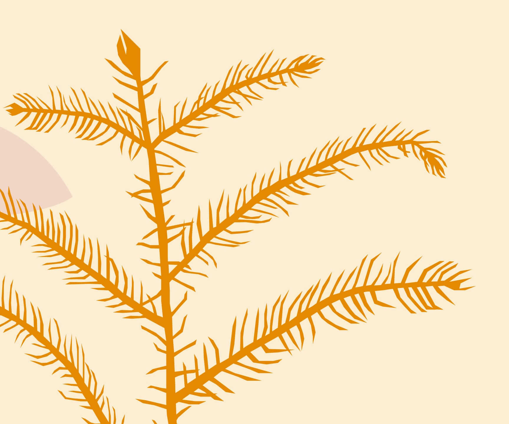 How to Care for a Norfolk Pine
