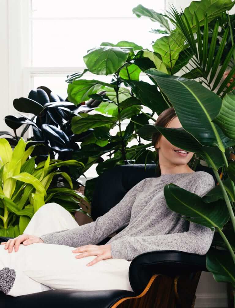 How Indoor Plants Are Good For Your Health | Bloomscape
