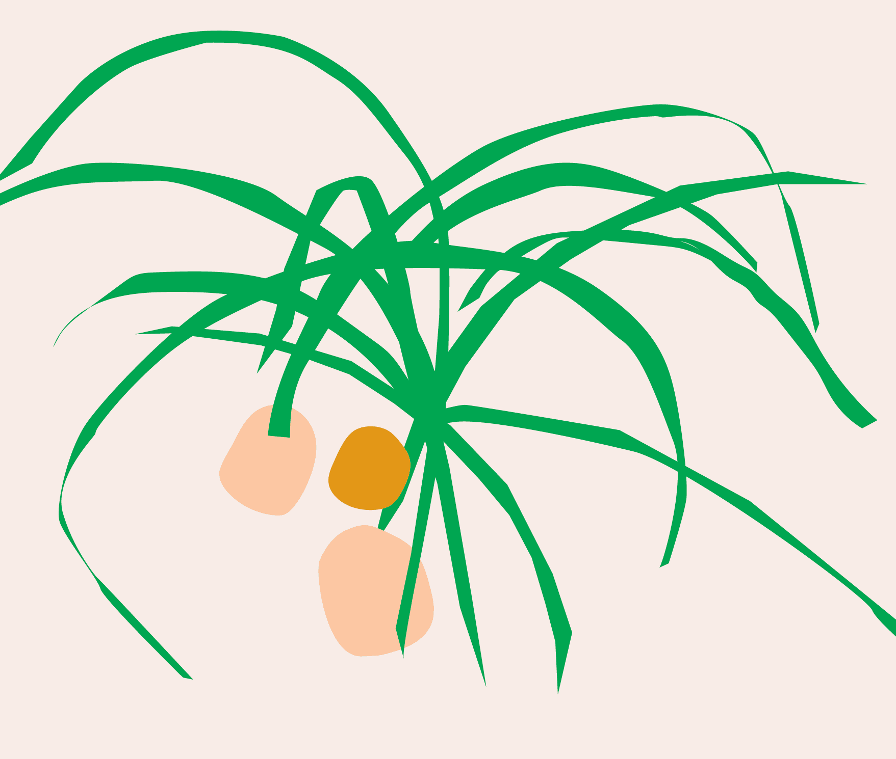 care-page-image-pigtail-palm