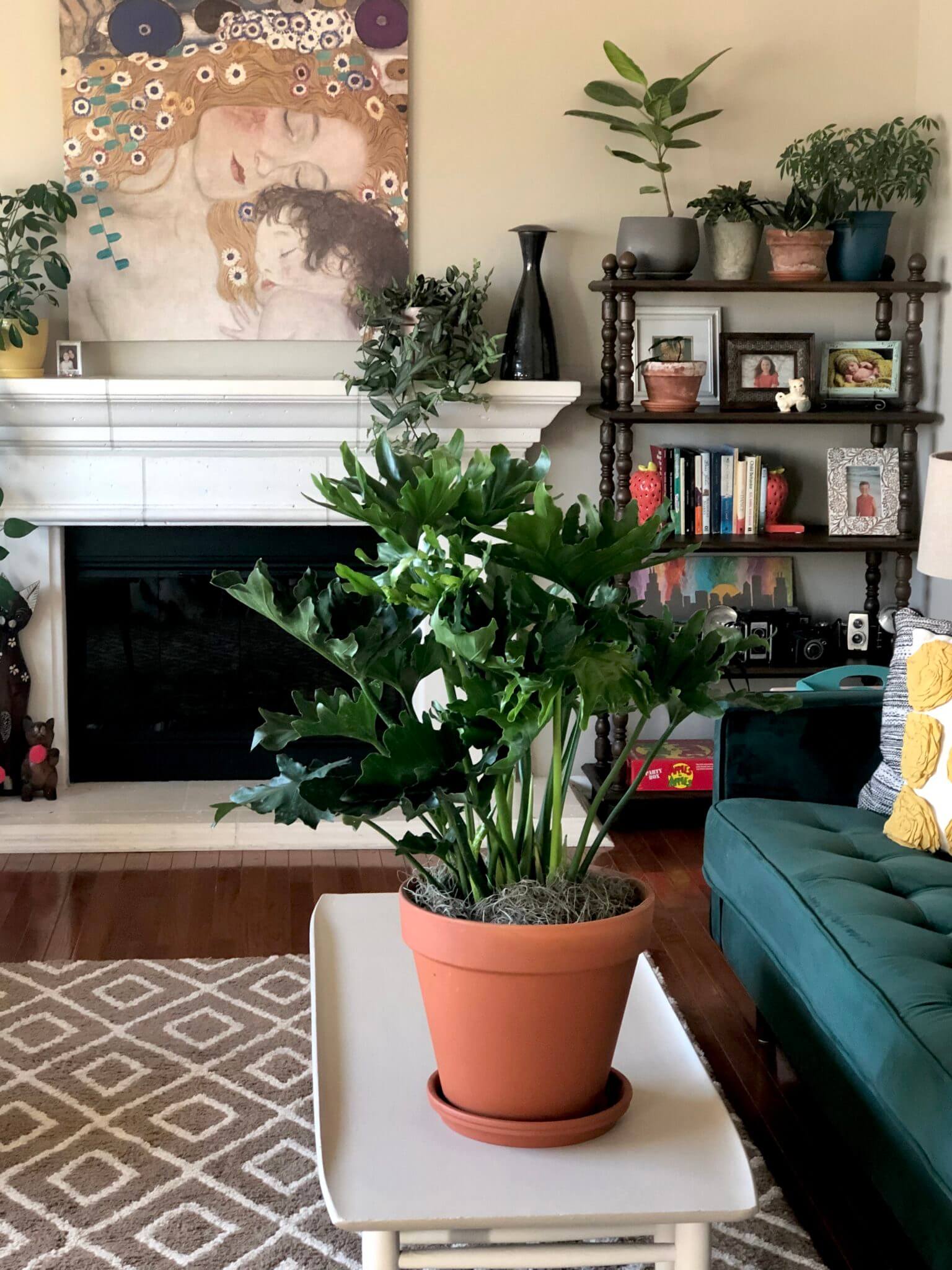 A Single Mom Shares How Plants are Part of Her Self Care