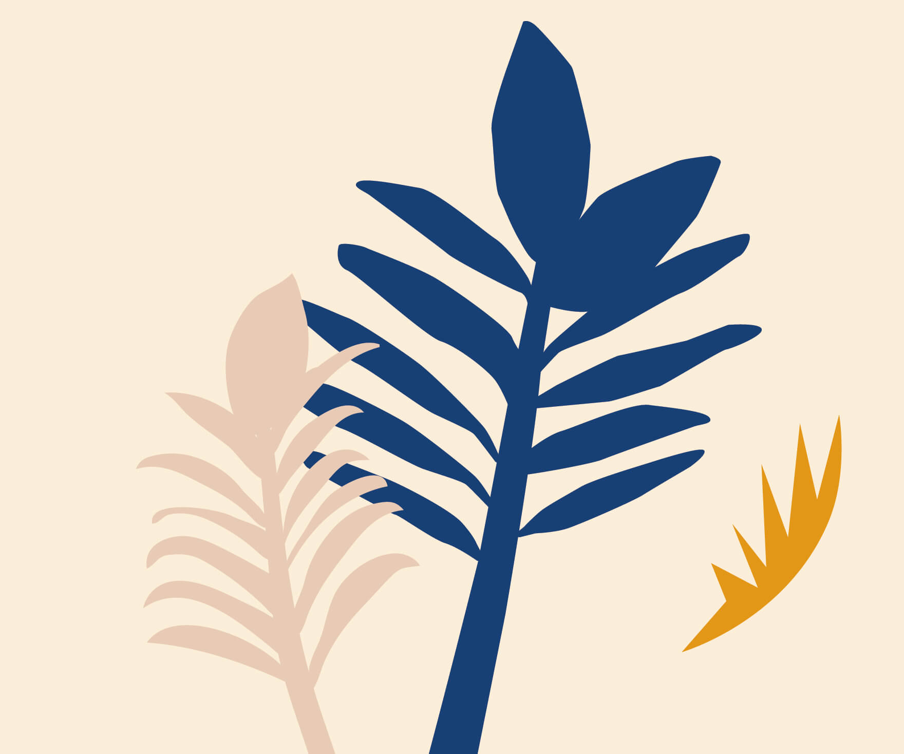How to Care for a Zenzi Plant