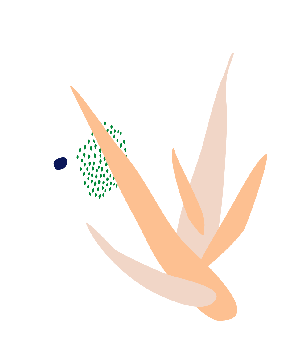 Buy Bloomscape Potted Aloe Vera Succulent