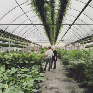 bloomscape in the wild - greenhouse
