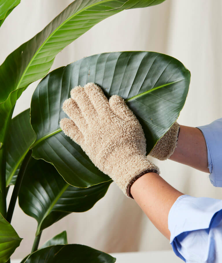 OPPWONG Guantes Para Quitar El Polvo 50 Ud. Reutilizables Y 2 En 1 (Lavable, Microfibra No Tejida)