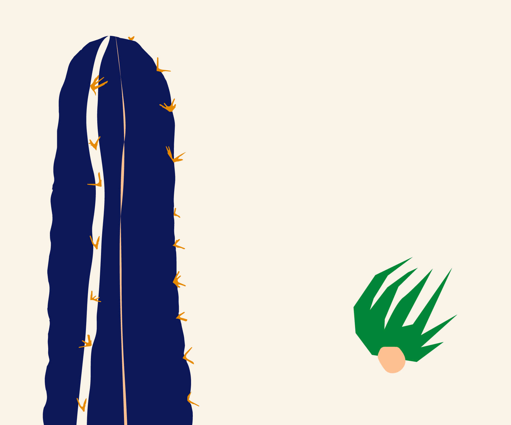 How to Care for a Torch Cactus