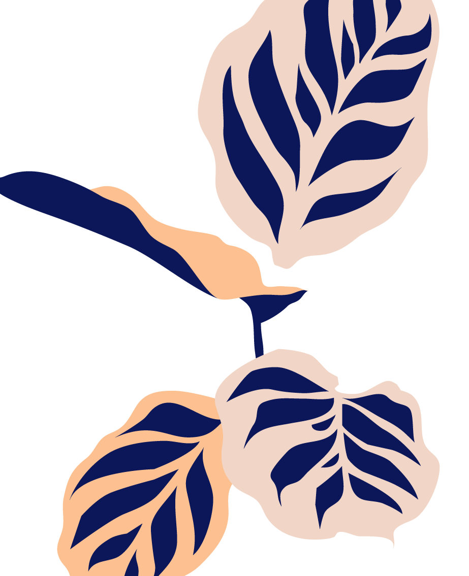 Buy Potted Bloomscape Calathea Peacock