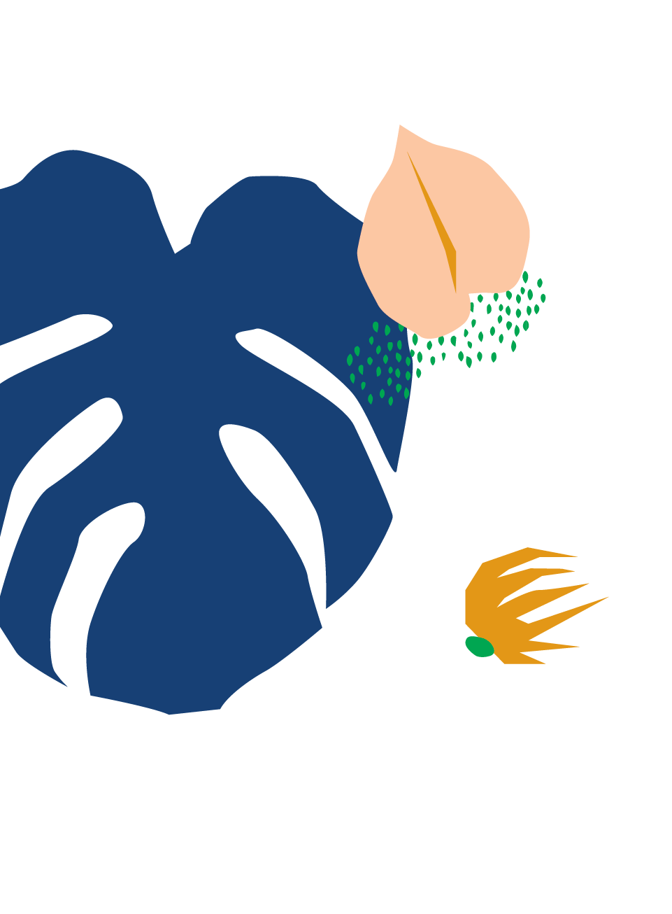 Buy Bloomscape Potted Monstera Indoor Plant