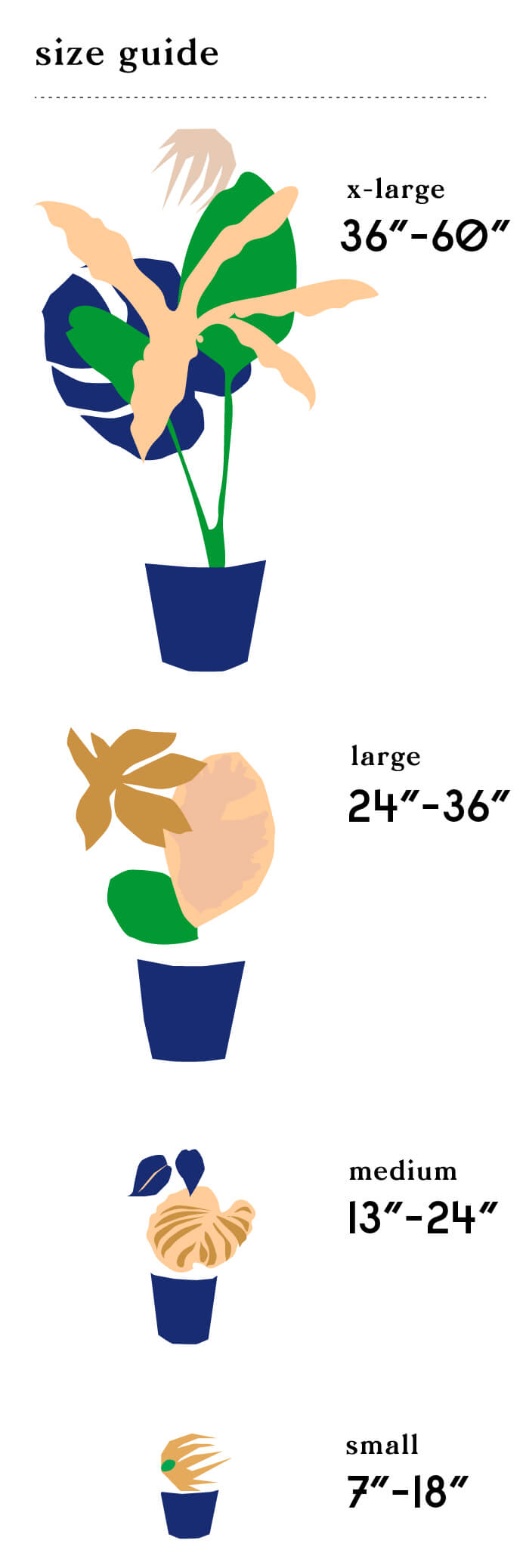 Shop indoor plants Bloomscape