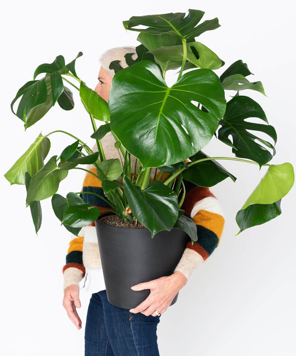 The Beginner's Houseplant Trick to Keep Your Plants Alive and Happy - That  Planty Life