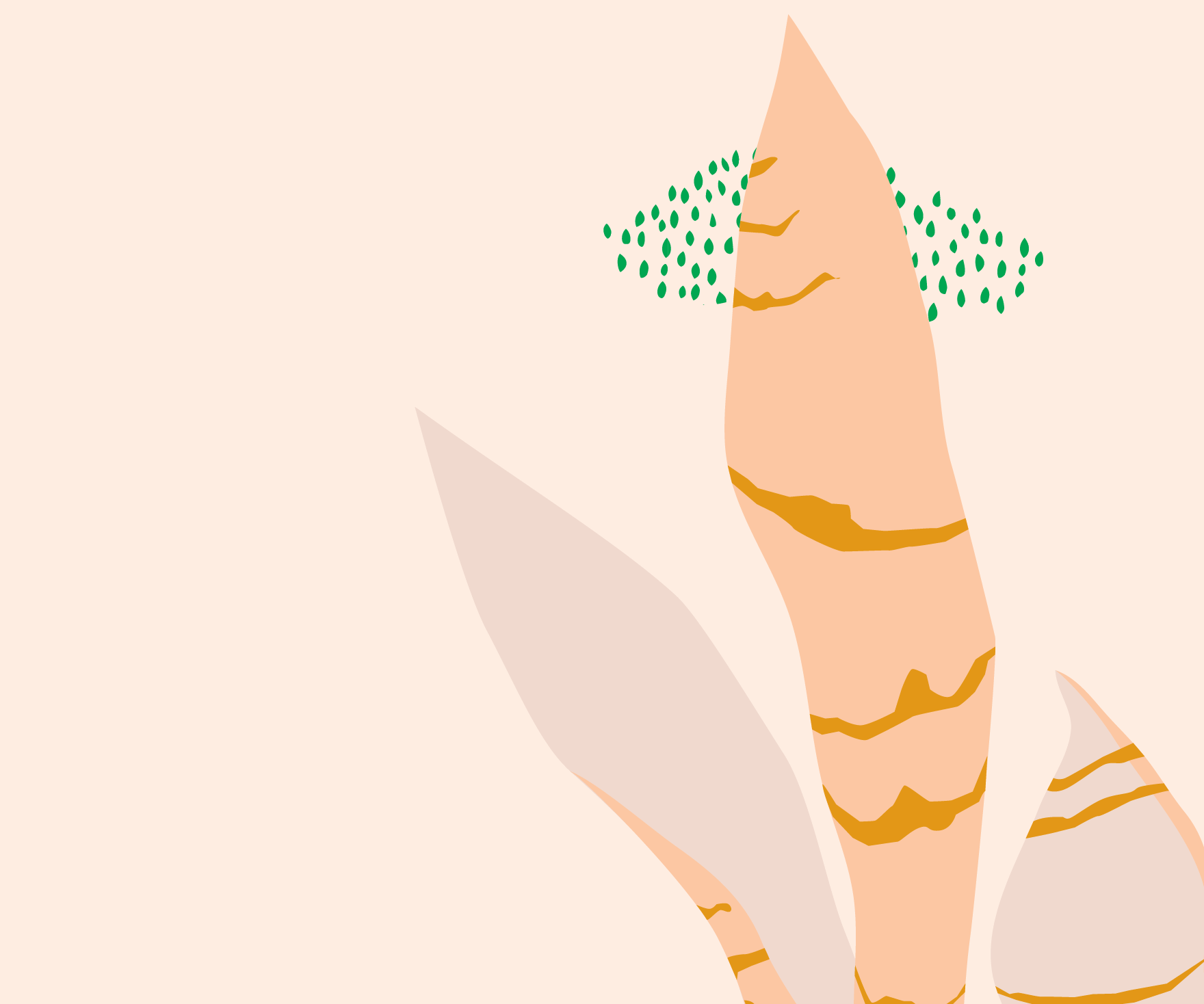 How to Care for a Sansevieria Moonshine
