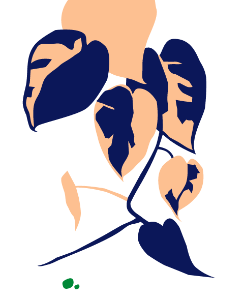 How to Care for a Philodendron Heartleaf | Bloomscape