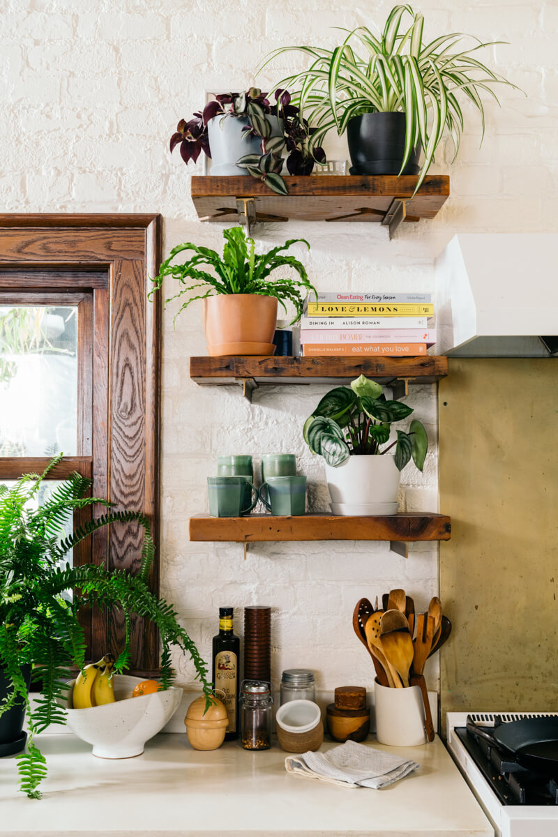 Найкращі рослини для кухні: Bloomscape Your Space