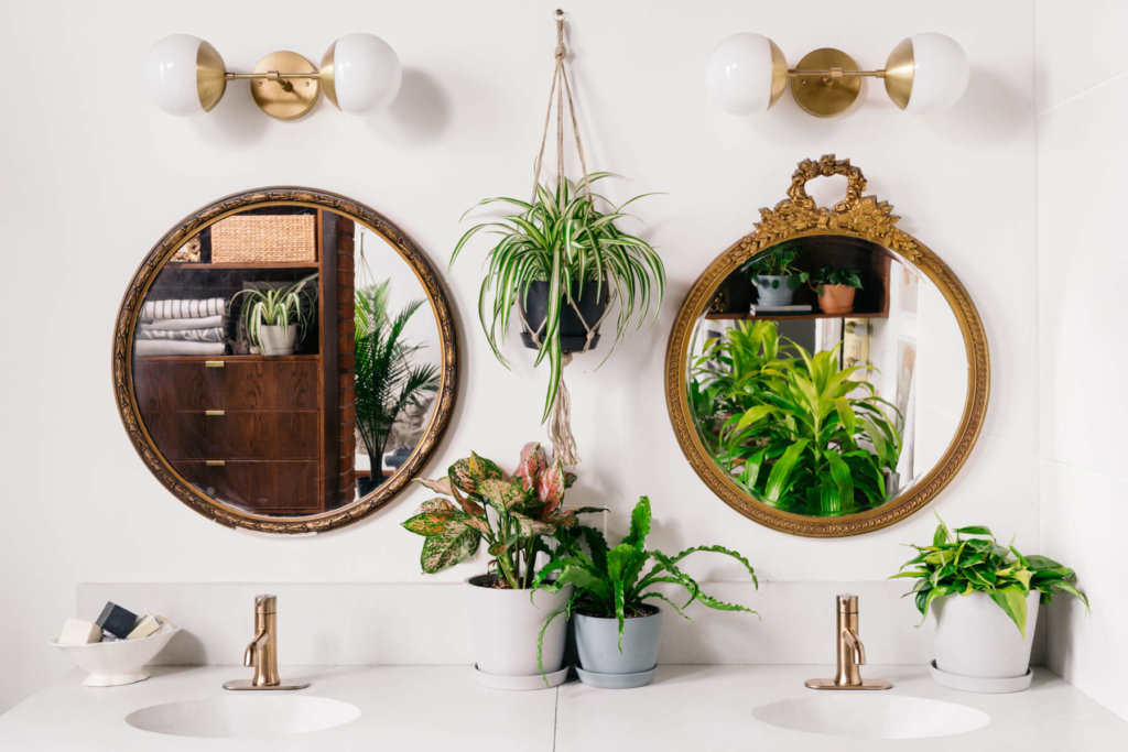 Найкращі рослини для ванної кімнати: Bloomscape Your Space