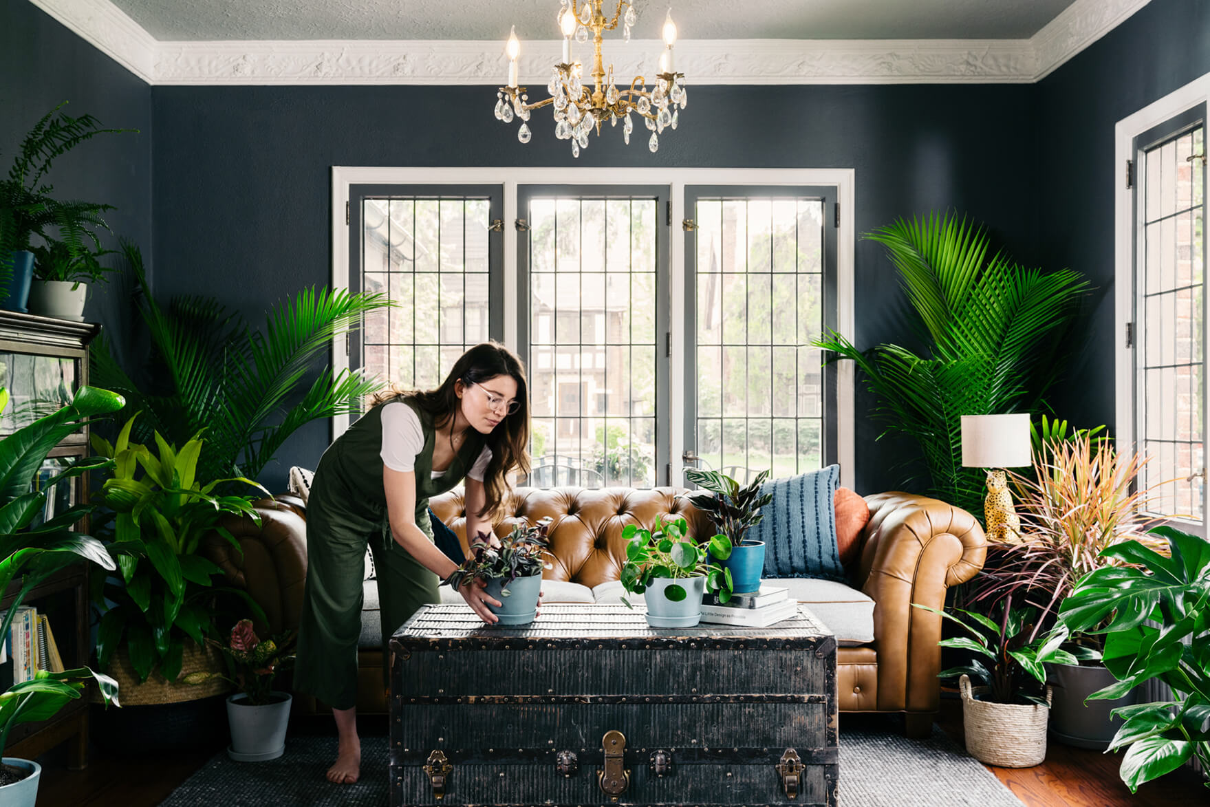 How To Decorate Room With Money Plant How To Decorate Room With Money Plant