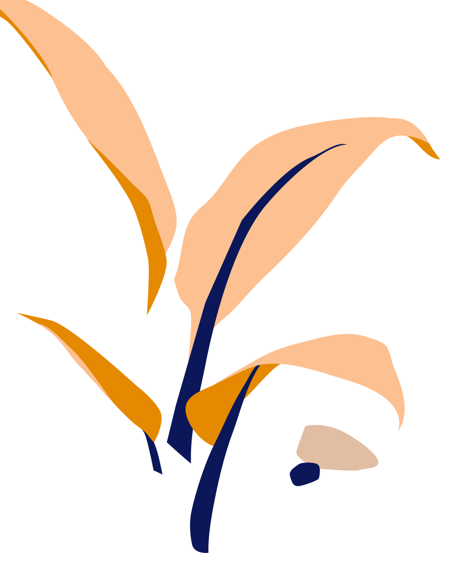 Buy Bloomscape Potted Philodendron Prince of Orange