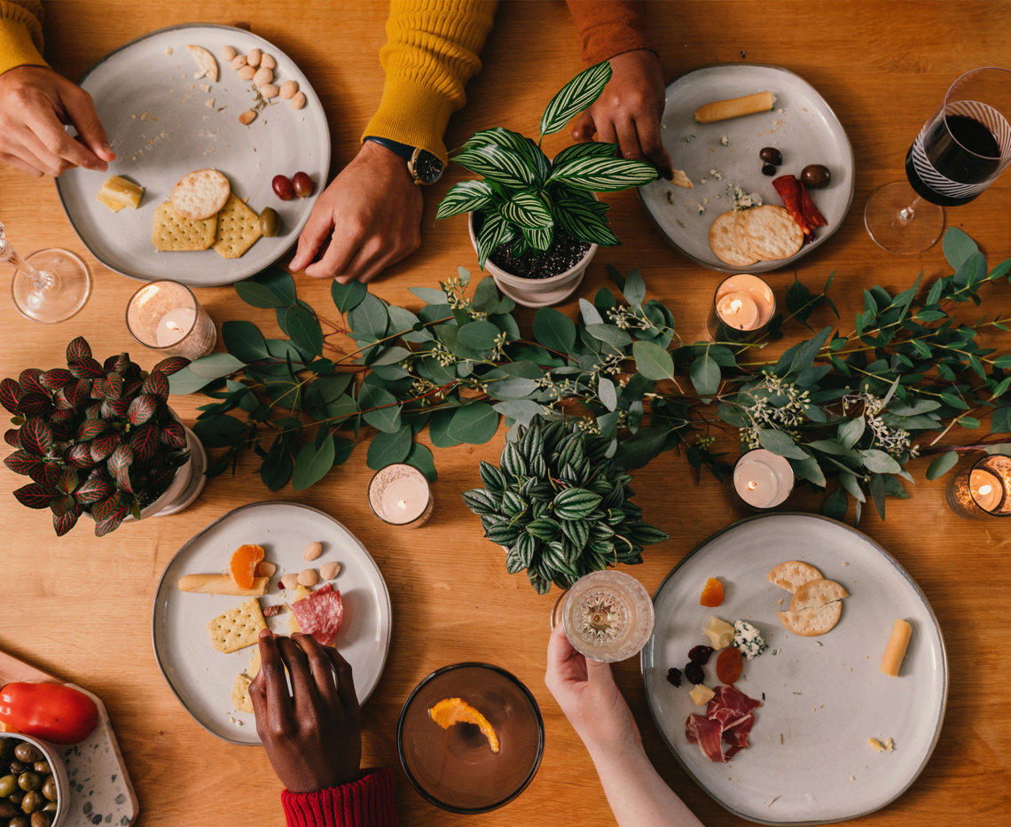 Snake Plants AllergyReducing and AirPurifying Bloomscape