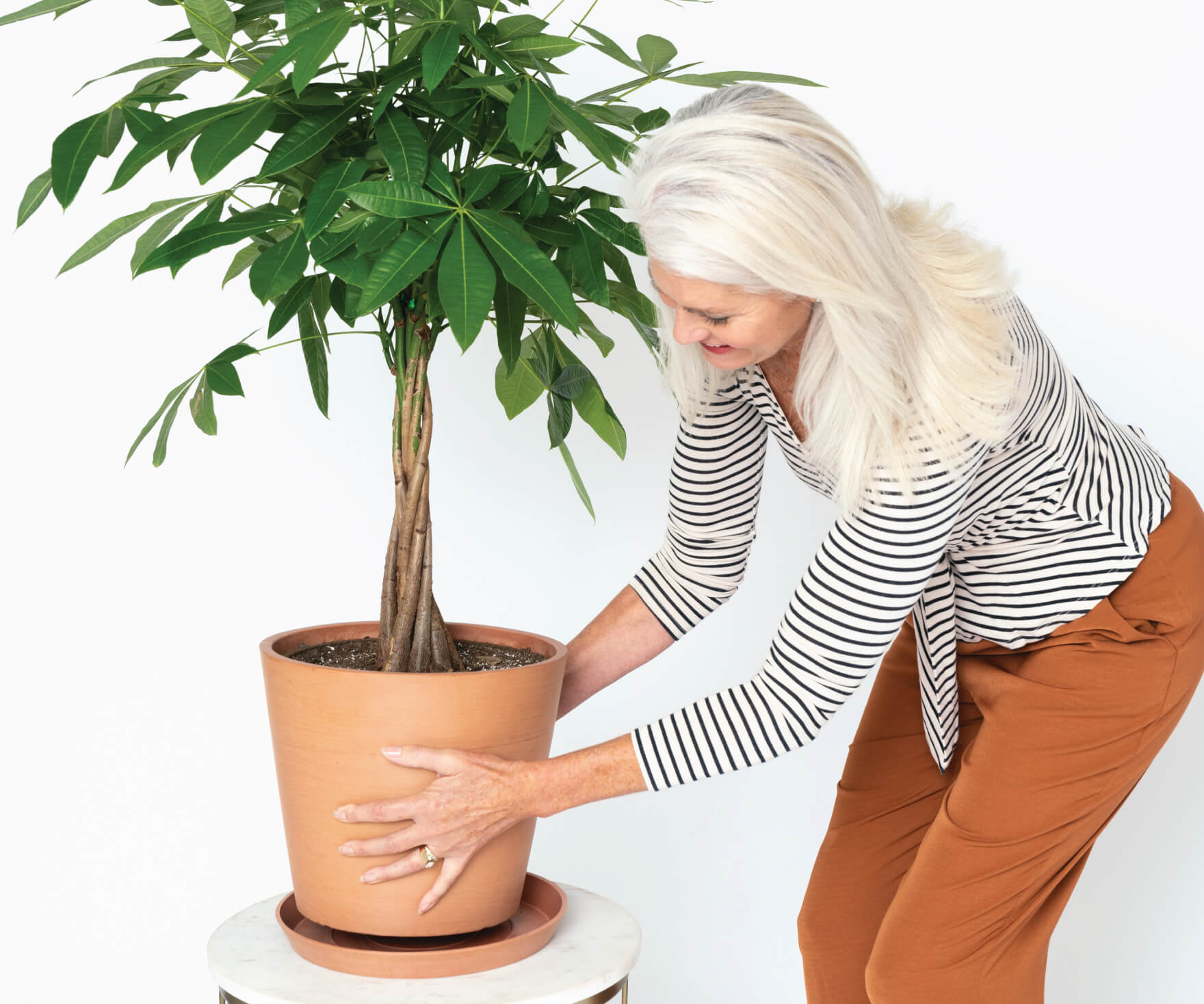 Bloomscape | Houseplant Therapy for Seasonal Depression