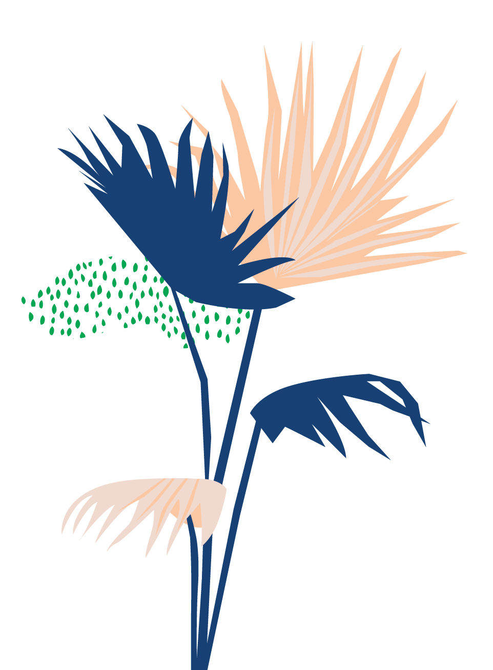 Buy Bloomscape Potted Chinese Fan Palm