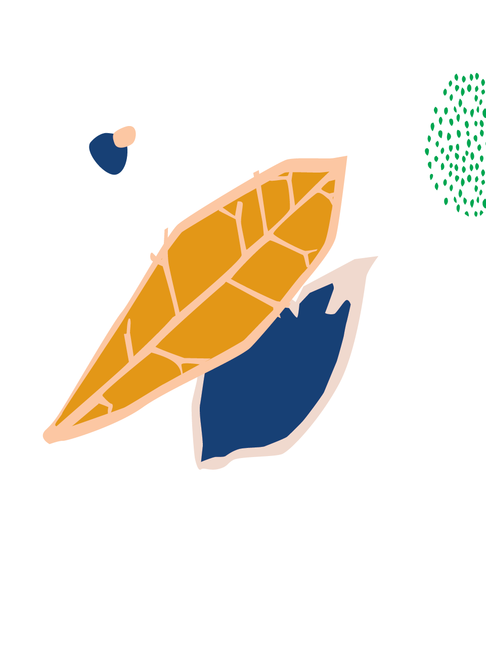 Croton Care