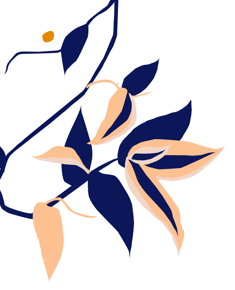 Tradescantia Zebrina