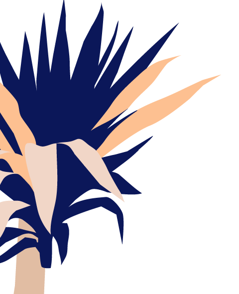 Yucca Cane Care