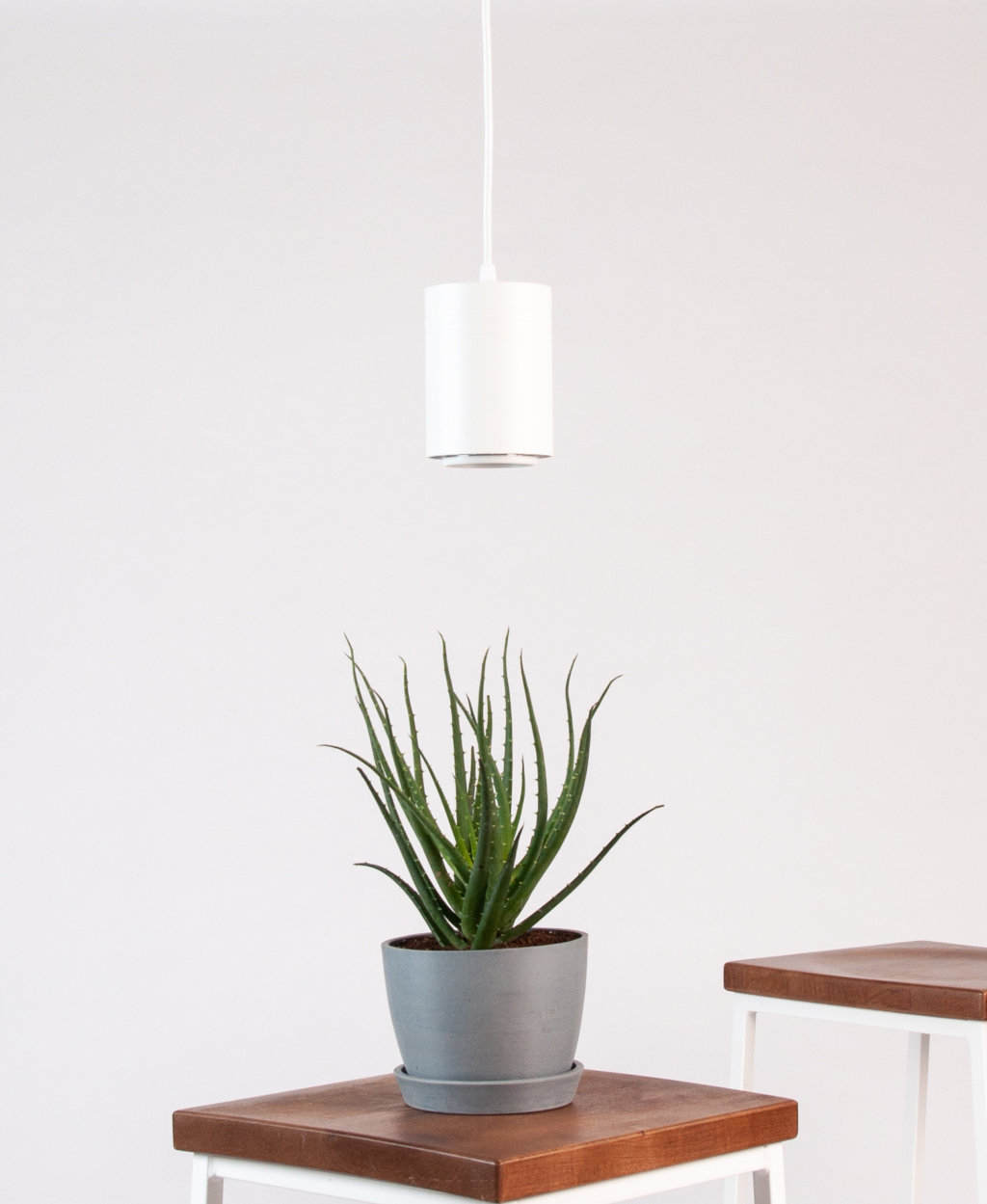 Small Grow Light Bloomscape