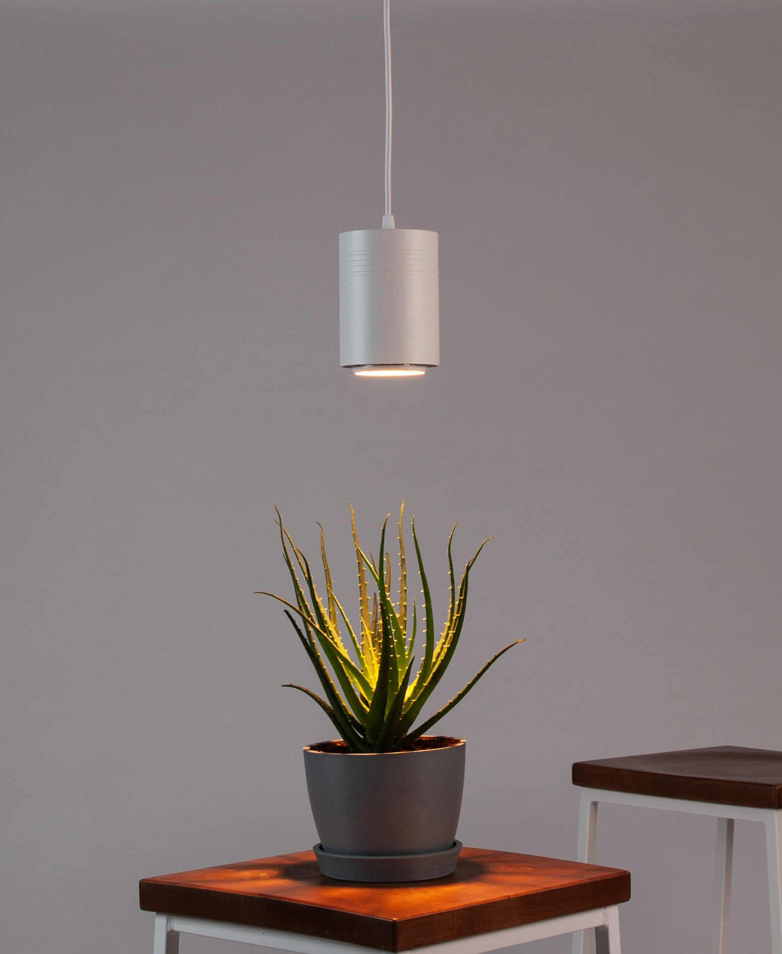 Bloomscape Indoor Grow Light Bloomscape Indoor Grow Light