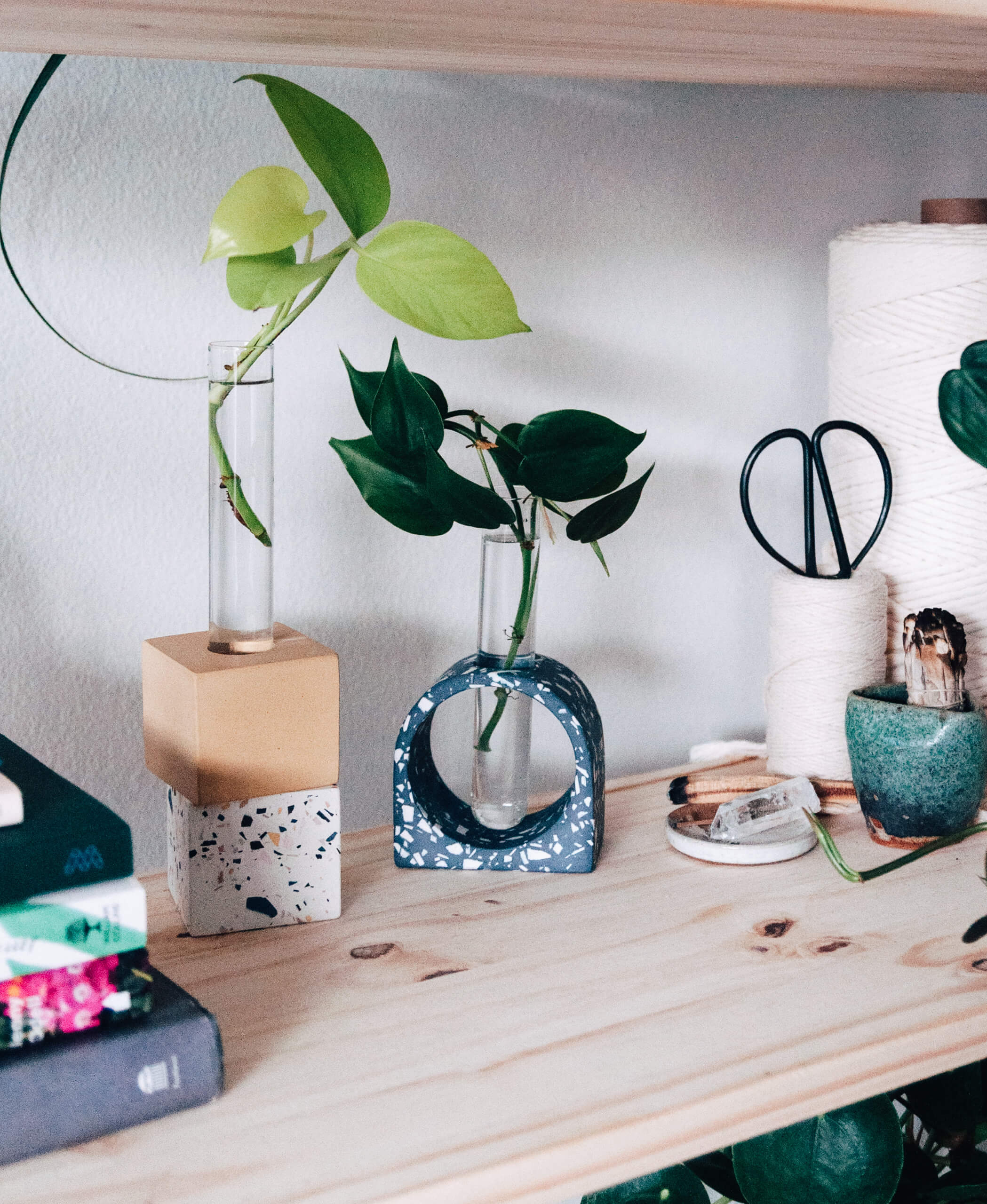 Bloomscape Arch Propagation Kit Bloomscape Arch Propagation Kit