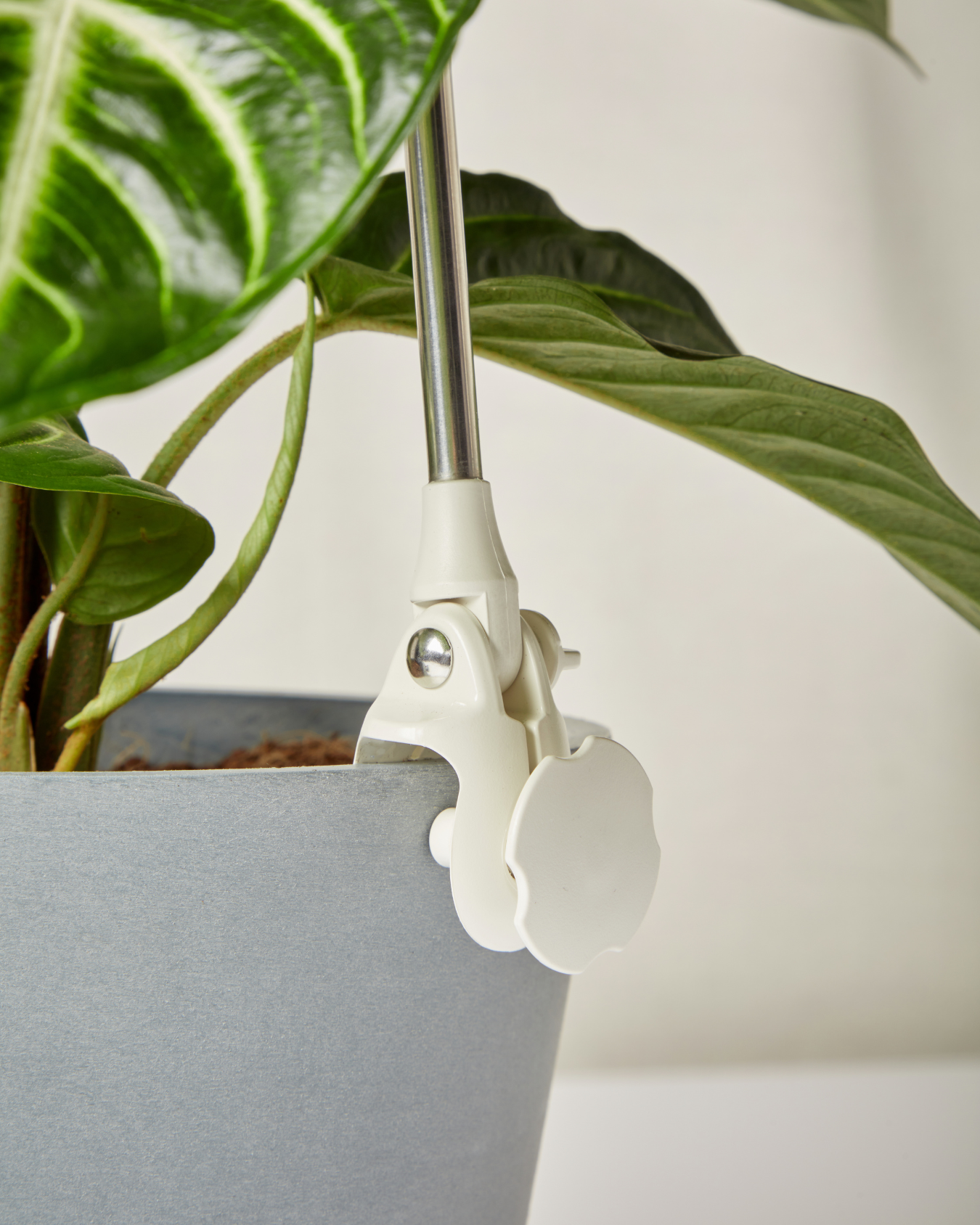 grow light clamp detail