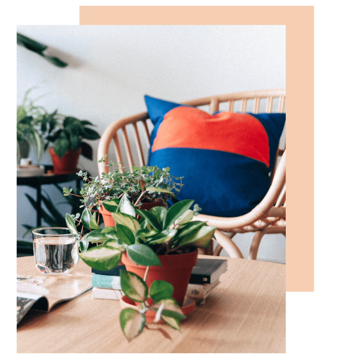 Introducing Collections